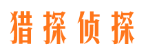 新兴市调查公司